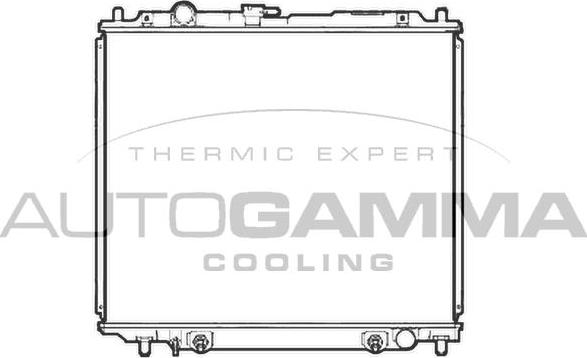 Autogamma 107252 - Radiateur, refroidissement du moteur cwaw.fr