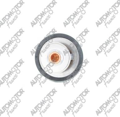 Automotor France PTH1033 - Thermostat d'eau cwaw.fr