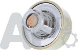 Automotor France PTH3871 - Thermostat d'eau cwaw.fr