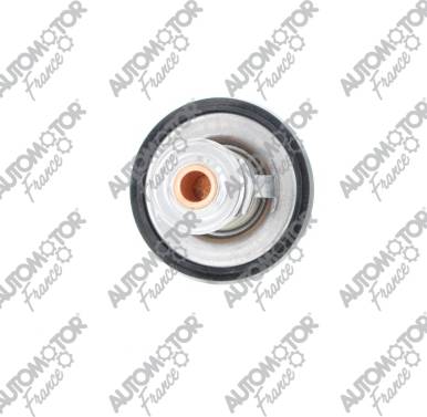 Automotor France PTH2888 - Thermostat d'eau cwaw.fr