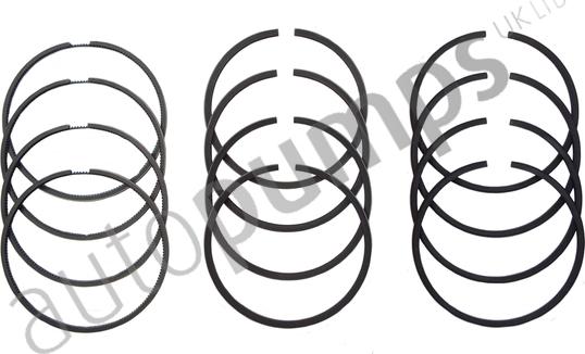 Autopumps UK A6192 - Jeu de segments de pistons cwaw.fr