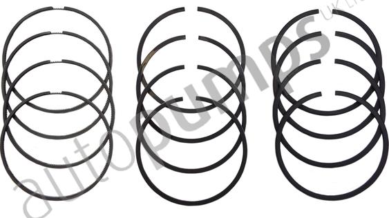 Autopumps UK A6300 - Jeu de segments de pistons cwaw.fr