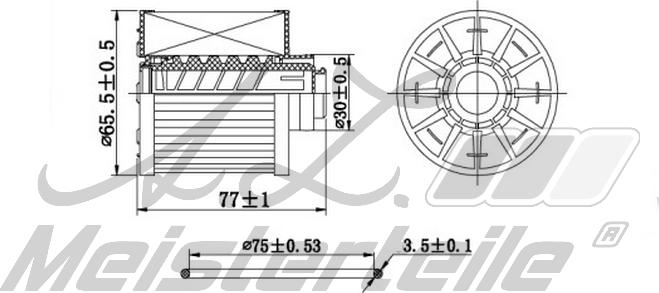 A.Z. Meisterteile AZMT-41-020-1417 - Filtre à carburant cwaw.fr