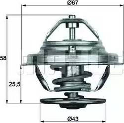 BEHR TX 19 75D - Thermostat d'eau cwaw.fr