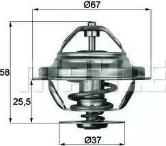 BEHR TX 20 80D - Thermostat d'eau cwaw.fr