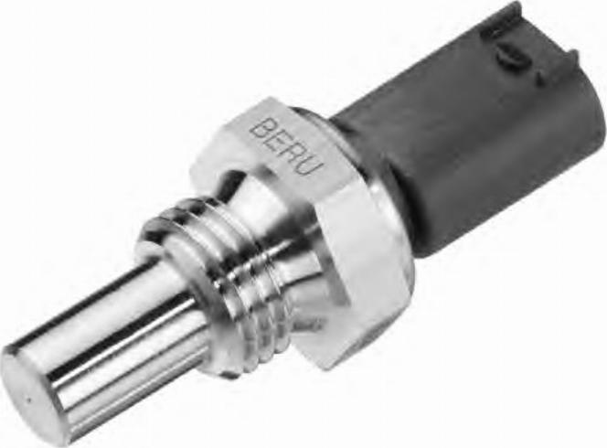 BorgWarner (BERU) 0824121051 - Sonde de température, liquide de refroidissement cwaw.fr