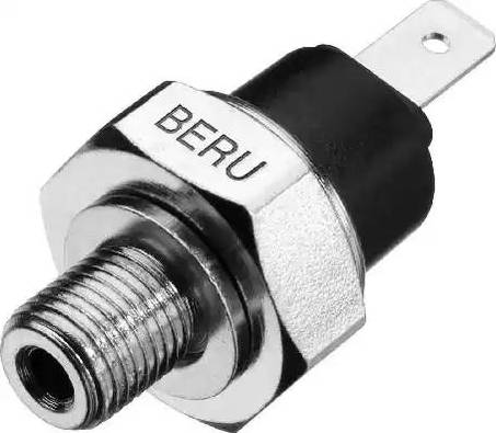 BorgWarner (BERU) SPR050 - Capteur, pression d'huile cwaw.fr