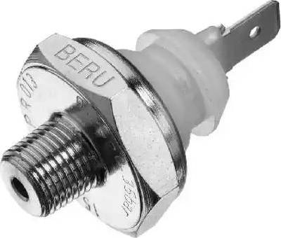 BorgWarner (BERU) SPR013 - Capteur, pression d'huile cwaw.fr