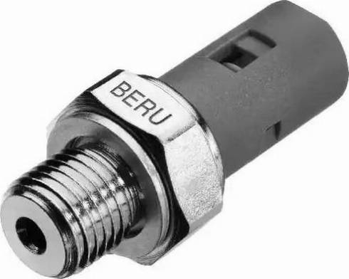 BorgWarner (BERU) SPR028 - Capteur, pression d'huile cwaw.fr