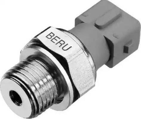 BorgWarner (BERU) SPR023 - Capteur, pression d'huile cwaw.fr