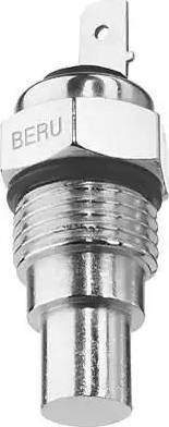 BorgWarner (BERU) ST041 - Sonde de température, liquide de refroidissement cwaw.fr