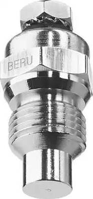 BorgWarner (BERU) ST043 - Sonde de température, liquide de refroidissement cwaw.fr