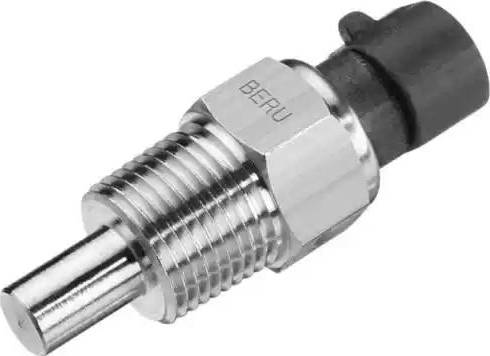 BorgWarner (BERU) ST069 - Sonde de température, liquide de refroidissement cwaw.fr