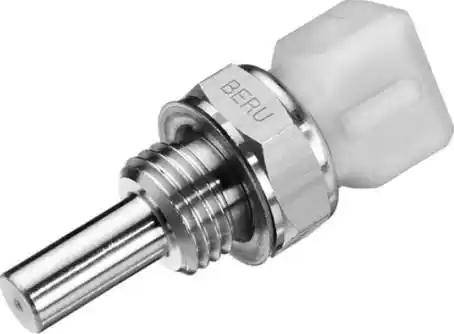 BorgWarner (BERU) ST060 - Sonde de température, liquide de refroidissement cwaw.fr