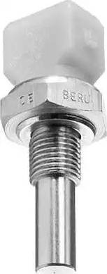 BorgWarner (BERU) ST013 - Sonde de température, liquide de refroidissement cwaw.fr