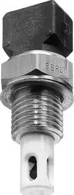 BorgWarner (BERU) ST035 - Capteur, température de l'air d'admission cwaw.fr