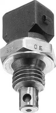 BorgWarner (BERU) ST036 - Capteur, température de l'air d'admission cwaw.fr