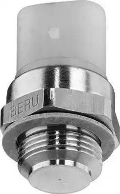 BorgWarner (BERU) ST077 - Interrupteur de température, ventilateur de radiateur cwaw.fr