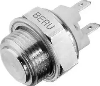 BorgWarner (BERU) ST101 - Interrupteur de température, ventilateur de radiateur cwaw.fr