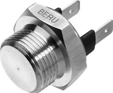 BorgWarner (BERU) ST127 - Interrupteur de température, ventilateur de radiateur cwaw.fr