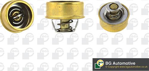 BGA CT5525 - Thermostat d'eau cwaw.fr