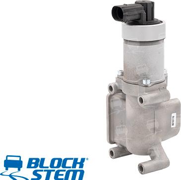 BlockStem EGR0002 - Vanne EGR cwaw.fr