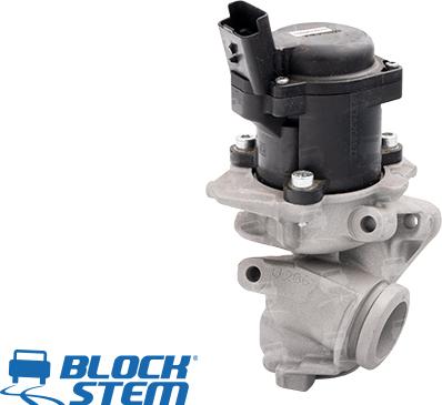 BlockStem EGR0032 - Vanne EGR cwaw.fr