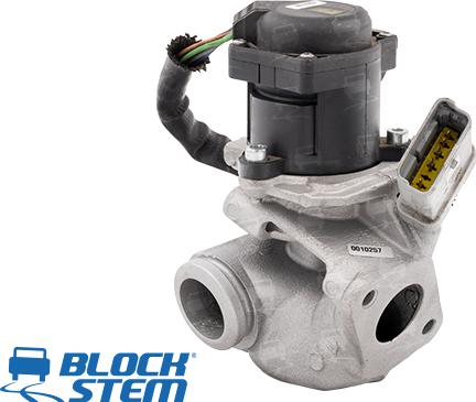 BlockStem EGR0020 - Vanne EGR cwaw.fr