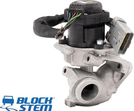 BlockStem EGR0124 - Vanne EGR cwaw.fr