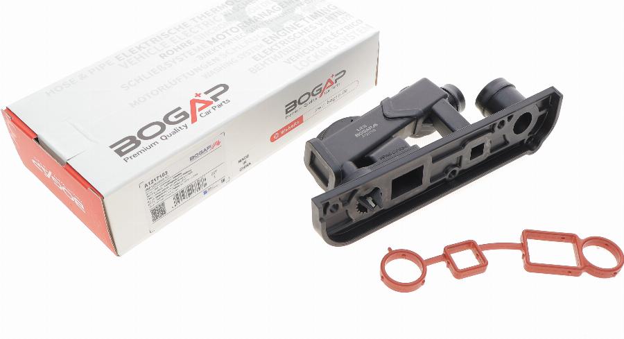 BOGAP A1217103 - Kit de réparation, ventilation du carter-moteur cwaw.fr