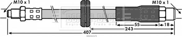 Borg & Beck BBH6029 - Flexible de frein cwaw.fr