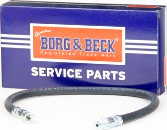 Borg & Beck BBH6813 - Flexible de frein cwaw.fr