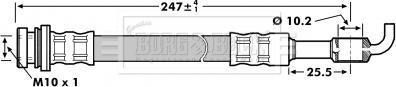 Borg & Beck BBH7128 - Flexible de frein cwaw.fr