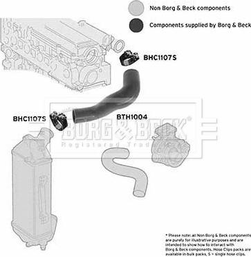 Borg & Beck BTH1004 - Gaine de suralimentation cwaw.fr