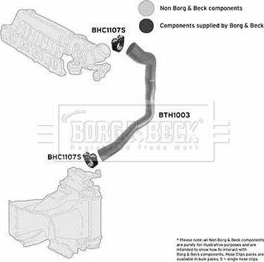 Borg & Beck BTH1003 - Gaine de suralimentation cwaw.fr