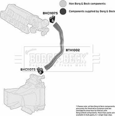 Borg & Beck BTH1002 - Gaine de suralimentation cwaw.fr