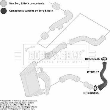 Borg & Beck BTH1137 - Gaine de suralimentation cwaw.fr