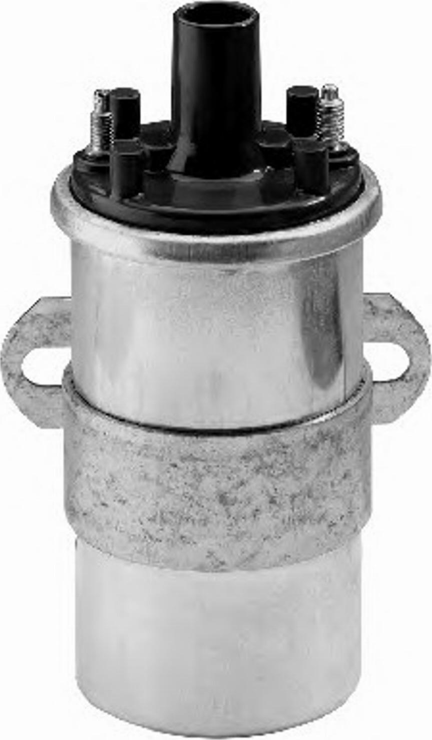 BorgWarner (BERU) 0 040 100 117 - Bobine d'allumage cwaw.fr