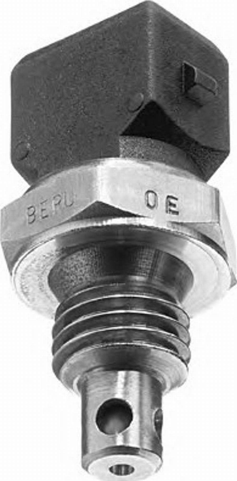 BorgWarner (BERU) 0 824 111 011 - Capteur, température de l'air d'admission cwaw.fr