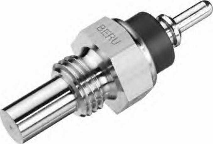 BorgWarner (BERU) 0824121001 - Sonde de température, liquide de refroidissement cwaw.fr