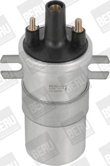 BorgWarner (BERU) ZS565 - Bobine d'allumage cwaw.fr