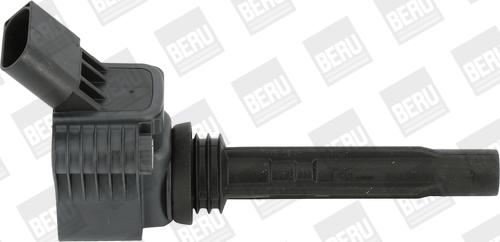 BorgWarner (BERU) ZSE067 - Bobine d'allumage cwaw.fr