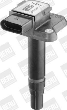 BorgWarner (BERU) ZSE009 - Bobine d'allumage cwaw.fr