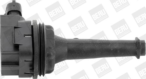 BorgWarner (BERU) ZSE019 - Bobine d'allumage cwaw.fr