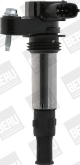 BorgWarner (BERU) ZSE174 - Bobine d'allumage cwaw.fr