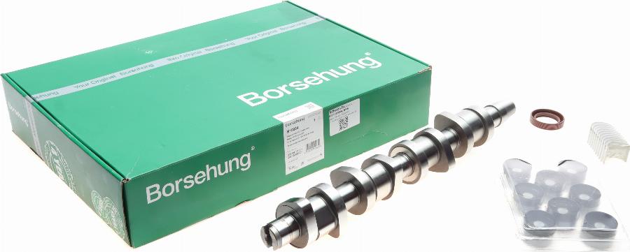 Borsehung B18664 - Jeu d'arbres à came cwaw.fr