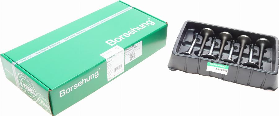 Borsehung B18148 - Soupape cwaw.fr