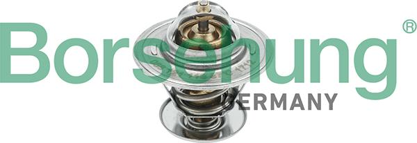 Borsehung B18245 - Thermostat d'eau cwaw.fr