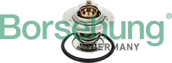 Borsehung B18256 - Thermostat d'eau cwaw.fr