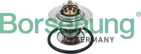 Borsehung B18260 - Thermostat d'eau cwaw.fr